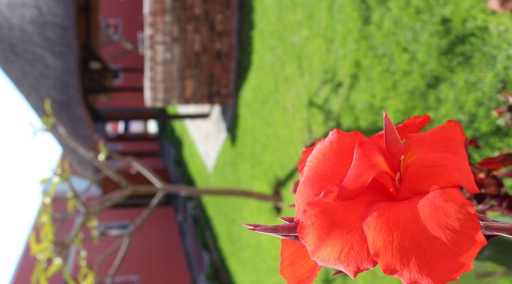 Comfort Gardens Bed and Breakfast