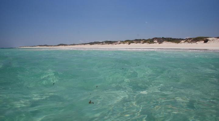 Munira Island Camp Kiwayu Ltd