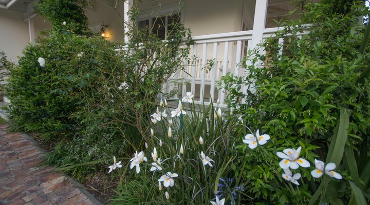 Plett Summer House