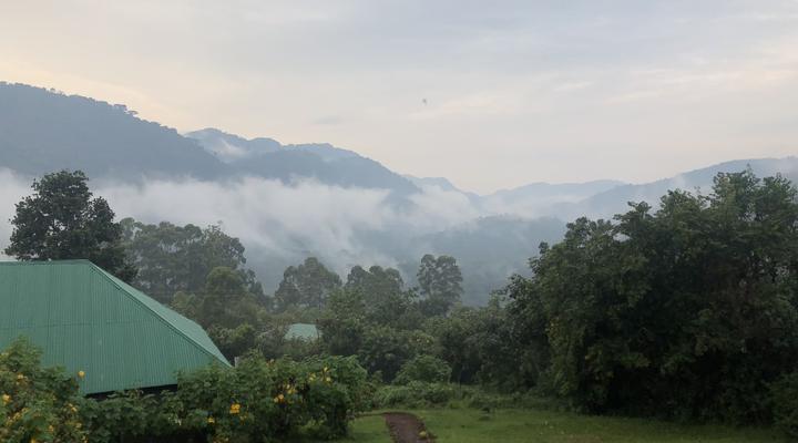 Gorilla Conservation Camp