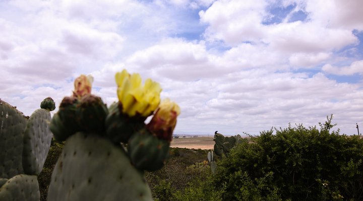 Gelukshoop Guest Farm