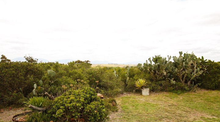 Gelukshoop Guest Farm