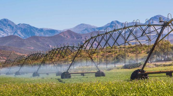 Hazenjacht Karoo Lifestyle - Spitzkop