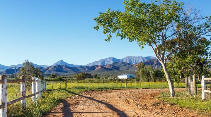 Hazenjacht Karoo Lifestyle - Tonnelkop