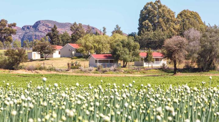 Hazenjacht Karoo Lifestyle - Tonnelkop
