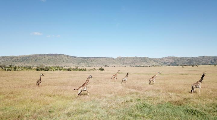 Kananga Special Tented Camp
