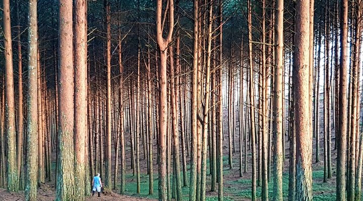 Mountain Haven Guest House