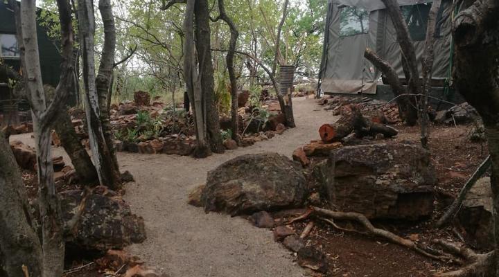 Shala Mushe Tented Camp & Lodge