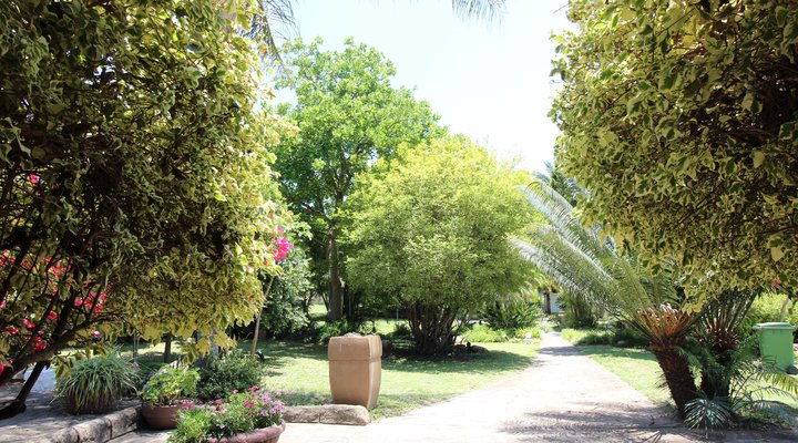 Asante Sana Holiday Village