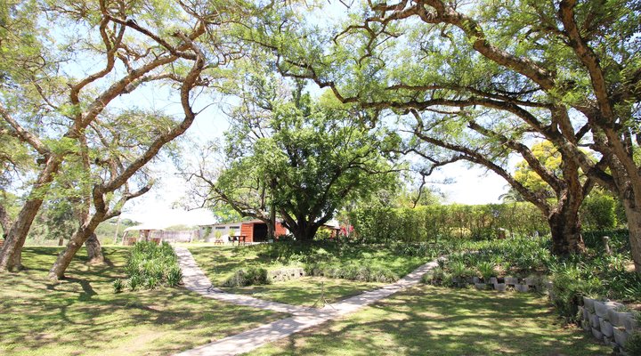 Asante Sana Holiday Village