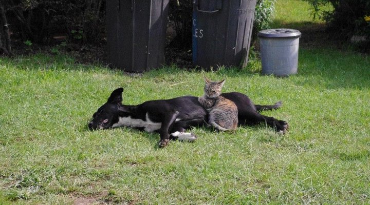 Mountain Haven Guest House