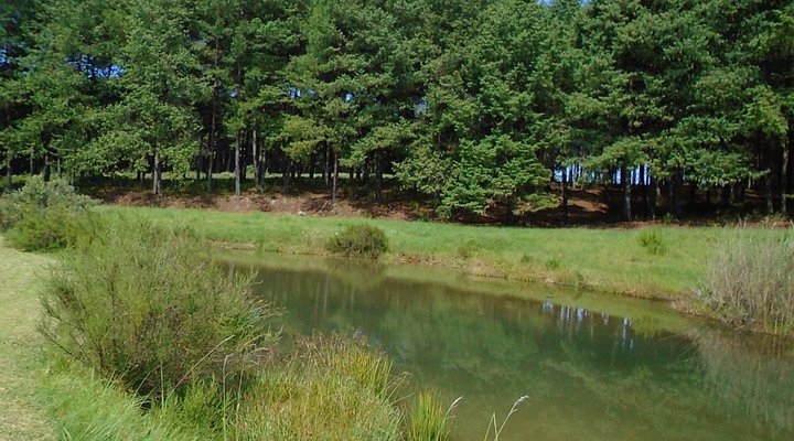 Mountain Haven Guest House