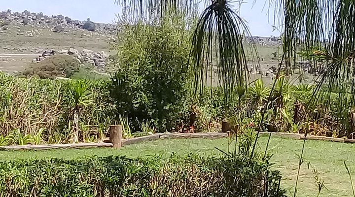 Mountain Haven Guest House