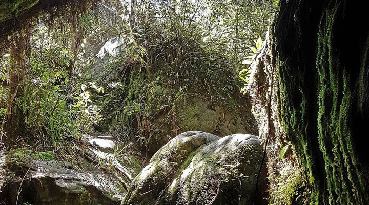 Mountain Haven Guest House