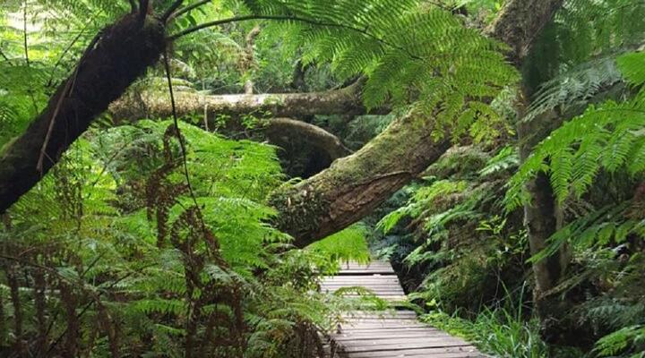 Two bedroom apartment Simola Hotel and Spa