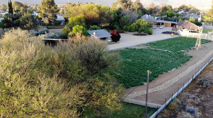 Tarantula Self-catering Accommodation