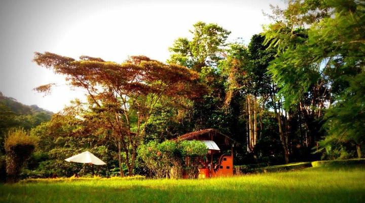 Amani Forest Camp (Emau Hill)