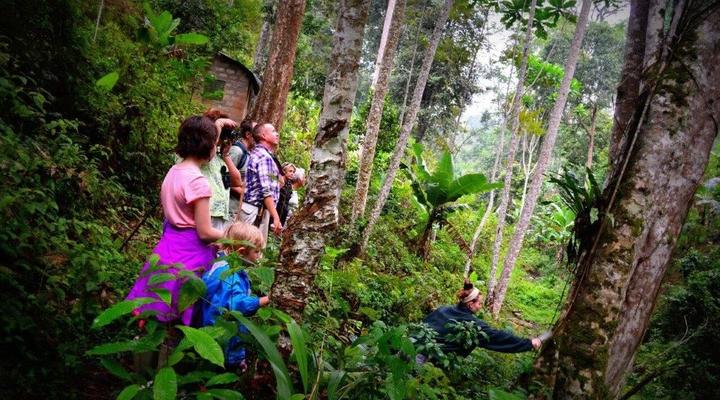 Amani Forest Camp (Emau Hill)