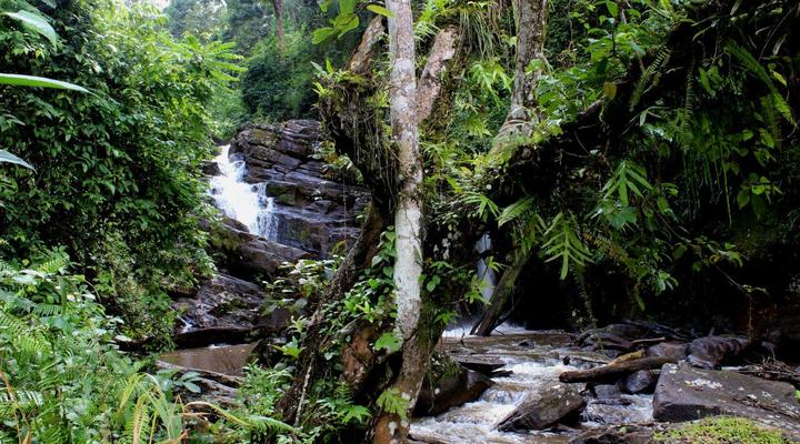 Amani Forest Camp (Emau Hill)