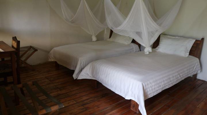 Gorilla Conservation Camp