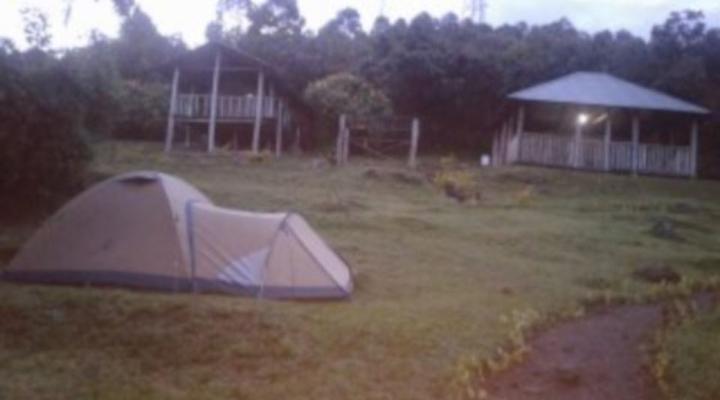 Gorilla Conservation Camp