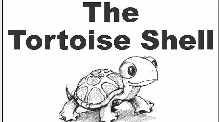 The Tortoise Shell