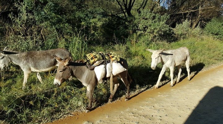 Sani Pass Tours