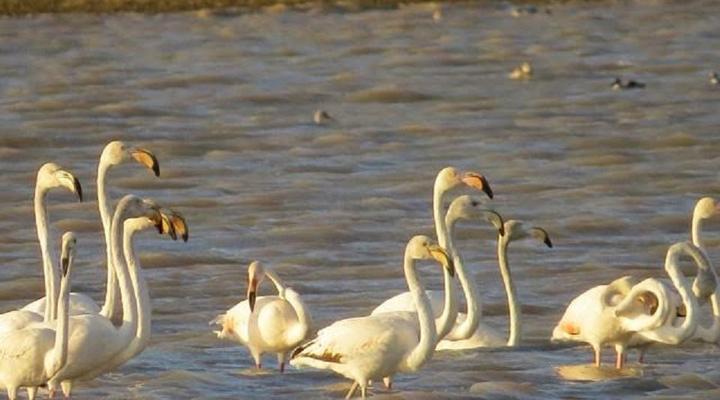 Stillewaters Self Catering