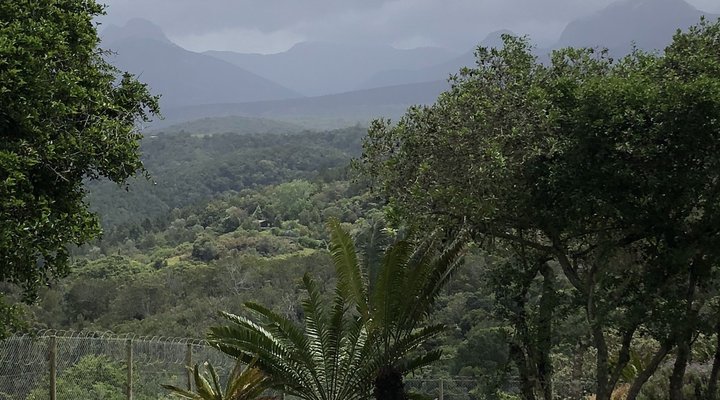 Misty Peak Self-Catering Cottage