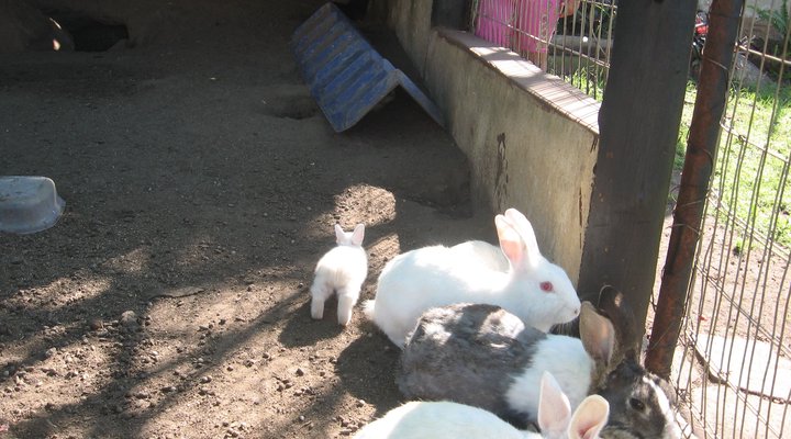 Anchorage South Coast