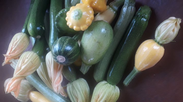 Numbi Valley De Rust Farmstay