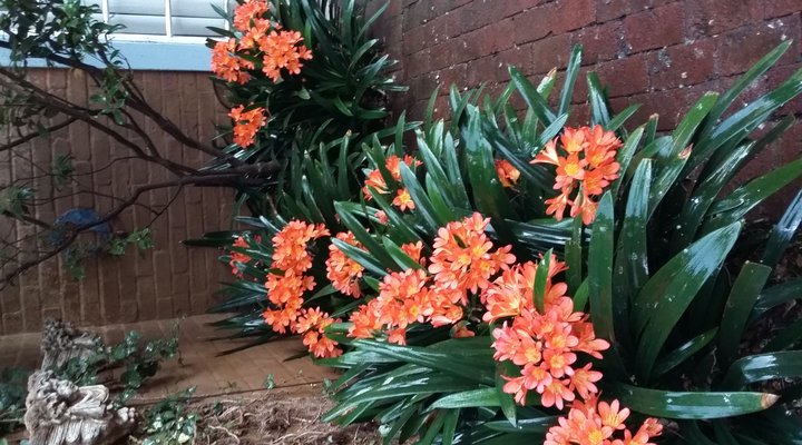 Ons Spens Guest House