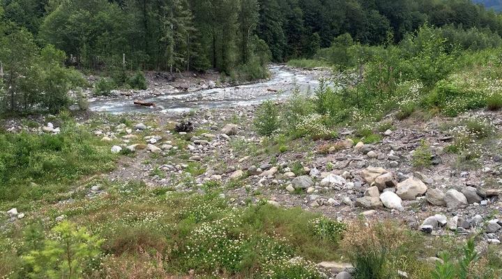 #65 Glacier Springs Cabin