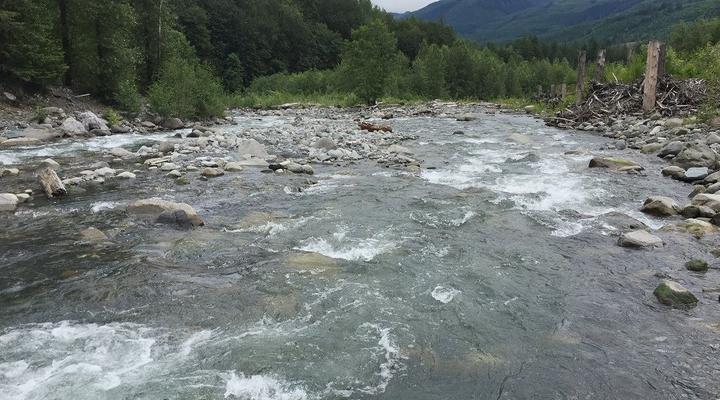 #65 Glacier Springs Cabin