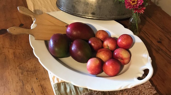 Hoofstraat 17 Gastehuis