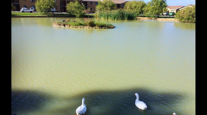 DCS Self Catering Accommodation Cape Gate