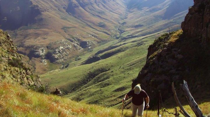 Reedsdell Country Guest Farm