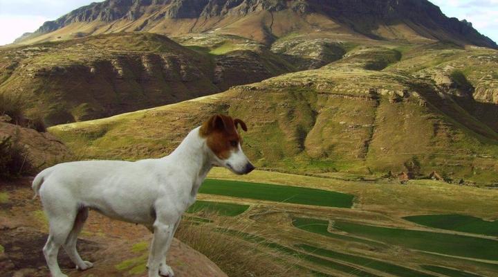 Reedsdell Country Guest Farm