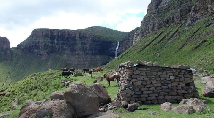Reedsdell Country Guest Farm