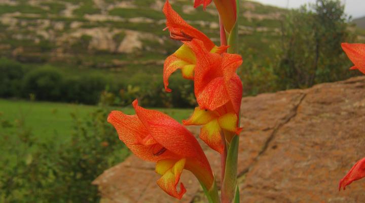 Reedsdell Country Guest Farm