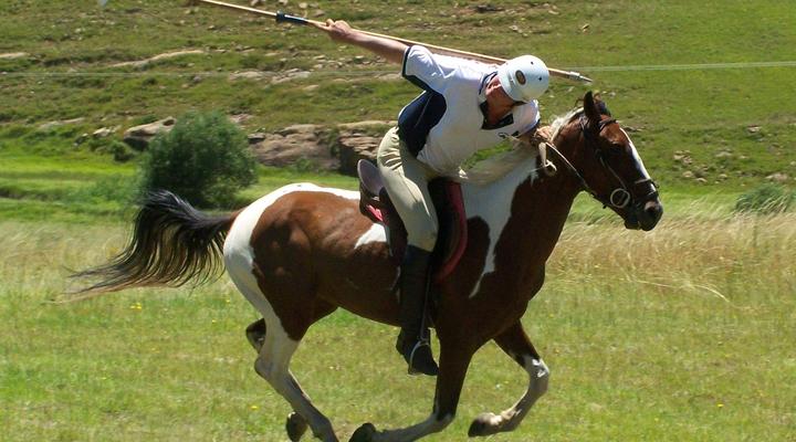 Reedsdell Country Guest Farm