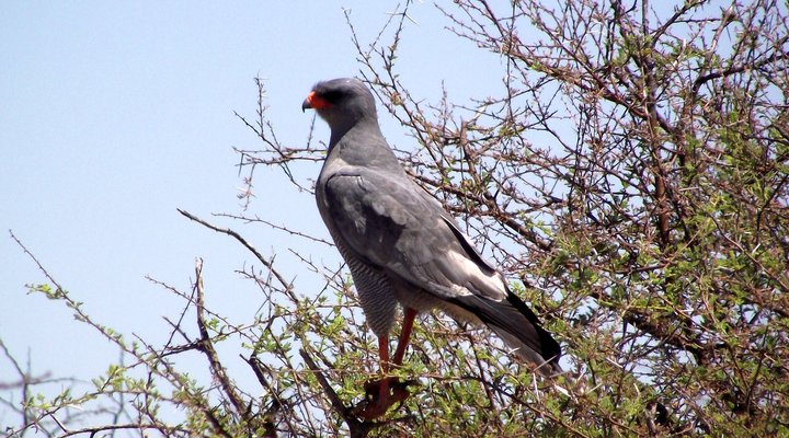 Vaal View Cottages