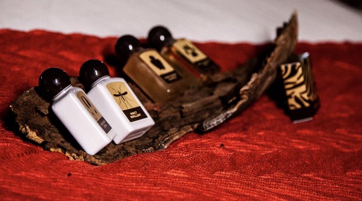 Emeveni Bush Lodge Among the Thorns