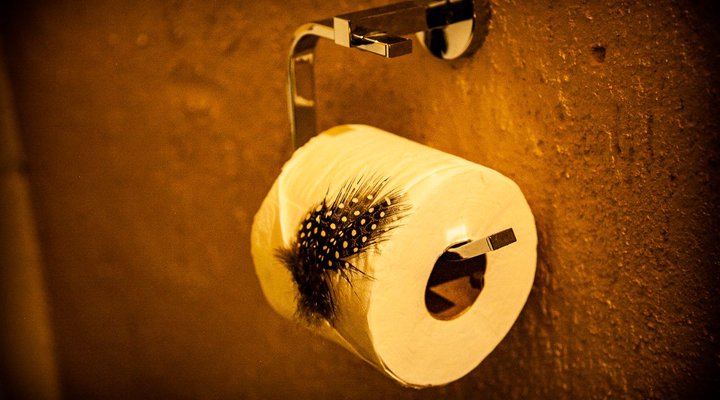 Emeveni Bush Lodge Among the Thorns