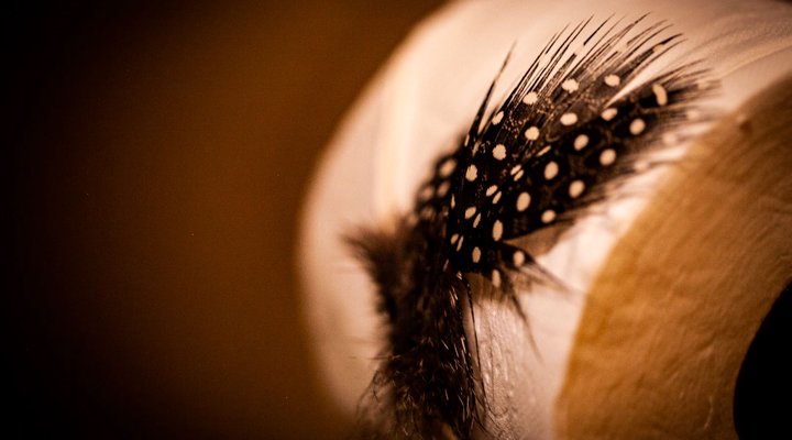 Emeveni Bush Lodge Among the Thorns