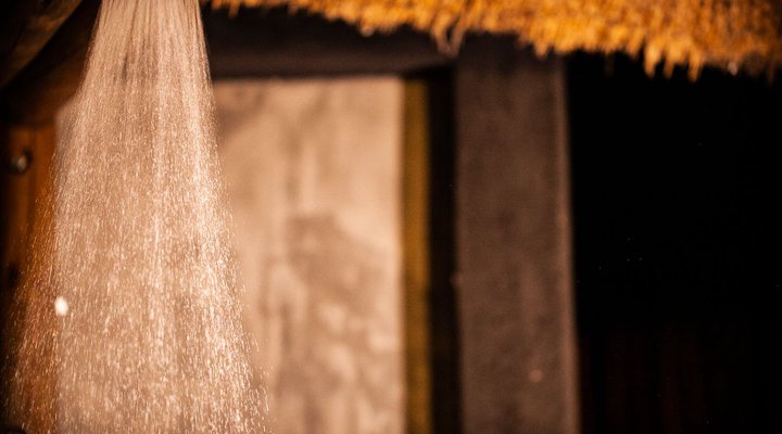 Emeveni Bush Lodge Among the Thorns