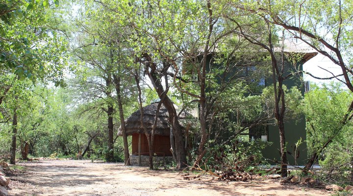 Boutique lodge Cozy Lion