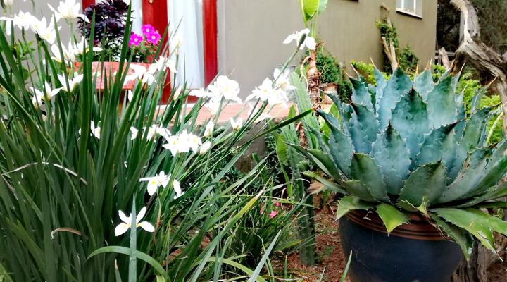 Adams Eden Guest House