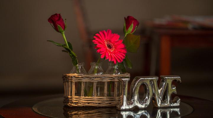 Spacube Luxury Suites