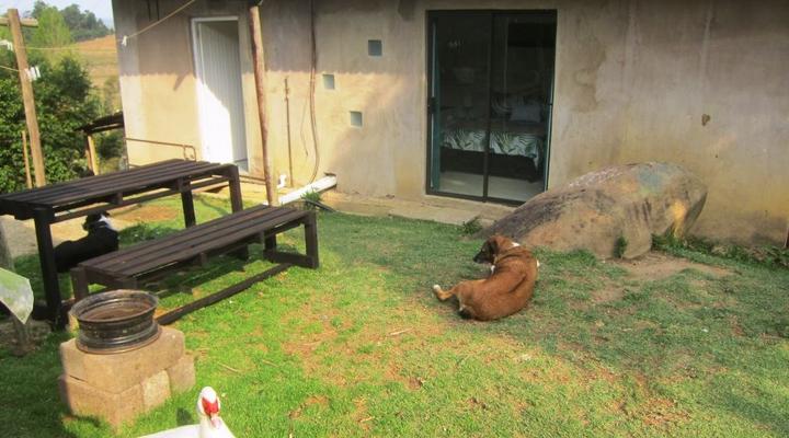 The Bed in the Shed at Stormy Hill